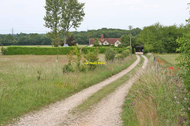 Photo 6"x4" Nr Crondall, Hampshire Rye Common c2011
