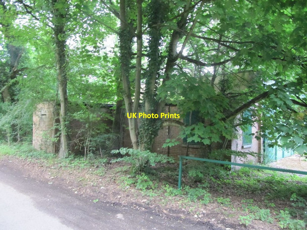 Photo 6"x4" Building in the wood Catslip c2011