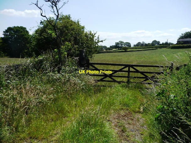 Photo 6"x4" Field gate off Bark House Lane Roydhouse c2011