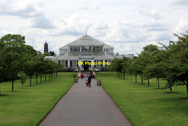 Photo 6"x4" Temperate House, Kew Gardens, London Brentford c2011