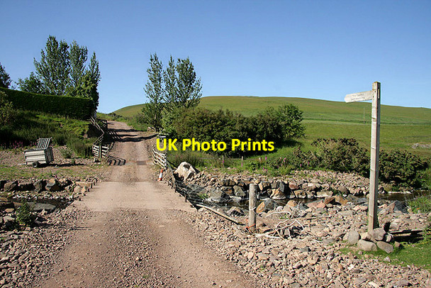 Photo 6"x4" The road to Calroust Farm Mowhaugh c2011