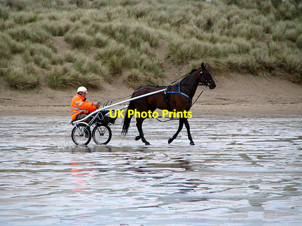 Photo 6"x4" Trotting in the rain at Ynyslas Ynys Tachwedd\/SN6093 c2011