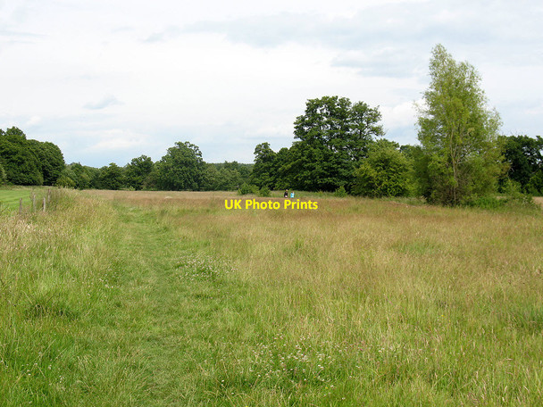 Photo 6"x4" Meadow near Groombridge Place Birchden c2011