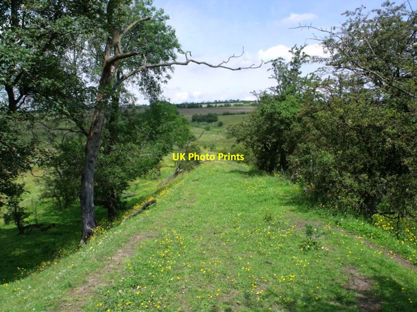 Photo 6"x4" Barblues to Arden track Plains\/NS7966 c2011