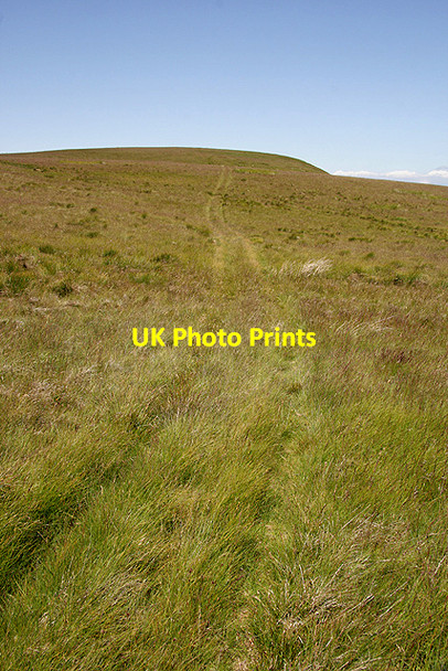 Photo 6"x4" A grass track on Craik Moor Mowhaugh c2011