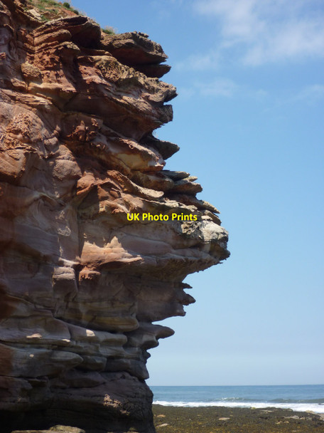 Photo 6"x4" Coastal East Lothian : Big Chief Looking Out To Sea Thorntonloch c2011