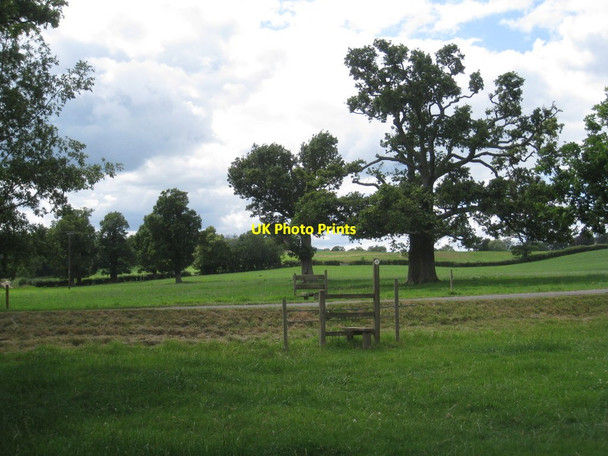 Photo 6"x4" Crossing the lane to the Grove Taynton\/SO7321 c2011