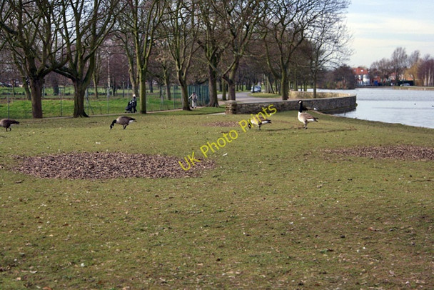 Photo 6"x4" East Park, Hull Kingston upon Hull c2008