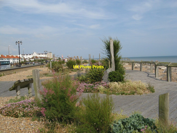 Photo 6"x4" Waterwise Garden on Worthing Beach Worthing\/TQ1303 c2011