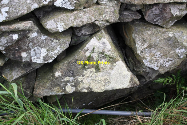 Photo 6"x4" Benchmark on wall stone at SE side of Fell Road Casterton c2011