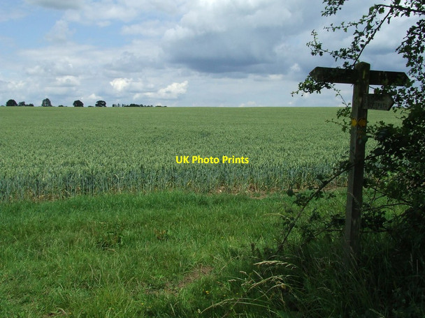 Photo 6"x4" Footpath Junction East Green\/TL6853 c2011