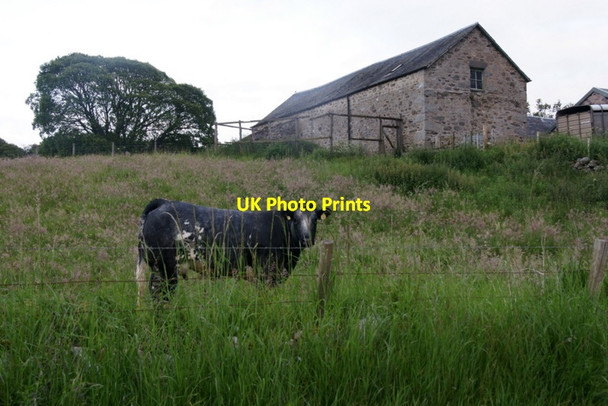 Photo 6"x4" Easter Dounie, Strathardle Kirkmichael\/NO0860 c2011