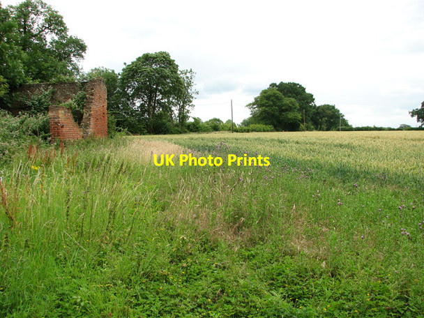 Photo 6"x4" Wheat field by Timberyard House Little Glemham c2011