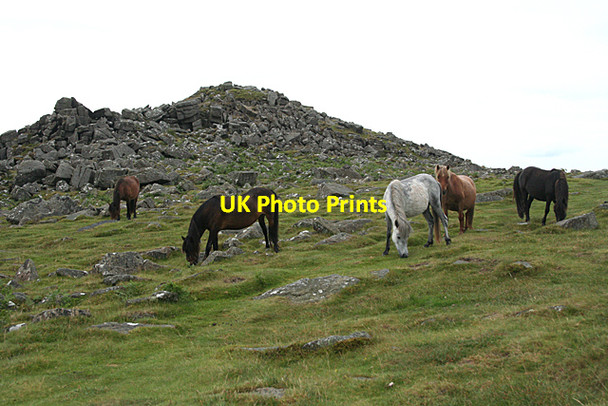 Photo 6"x4" Walkhampton: Sharpitor Walkhampton c2011