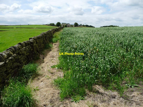 Photo 6"x4" Public footpath at field edge Harecroft c2011