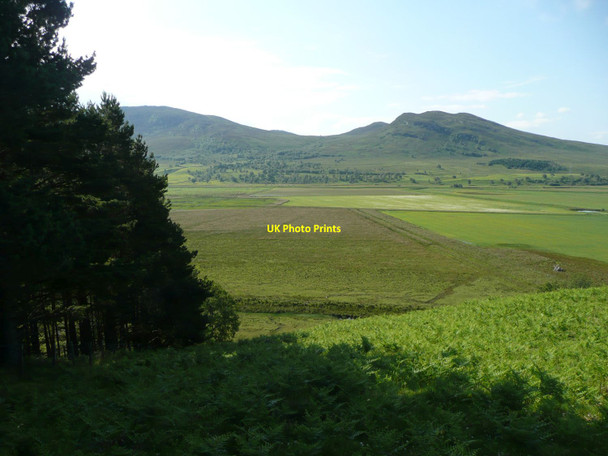 Photo 6"x4" Edge of Coille Chluanaidh Balgowan\/NN6394 c2011