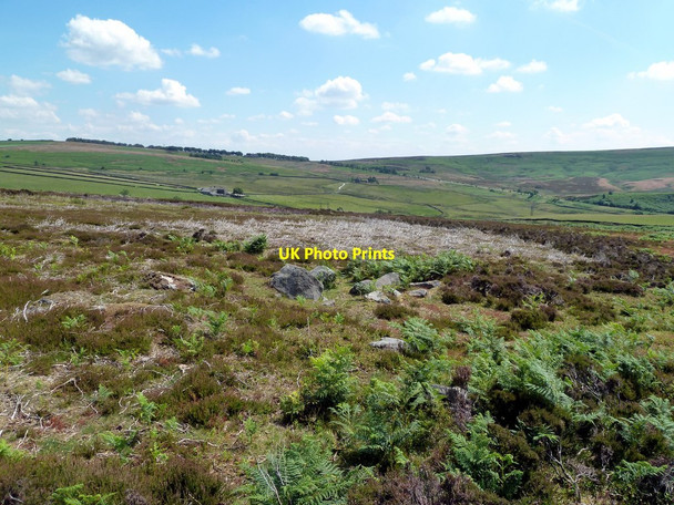 Photo 6"x4" Derwent Moors Ashopton c2011