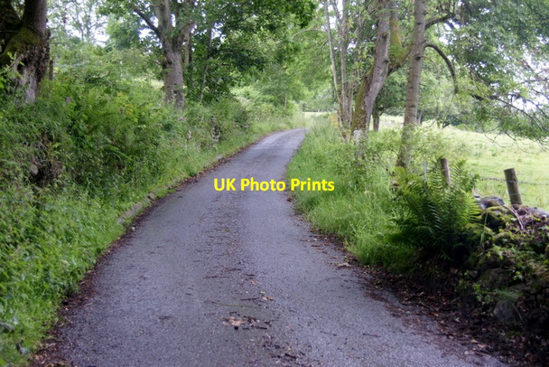 Photo 6"x4" Road above Forneth Clunie\/NO1043 c2011