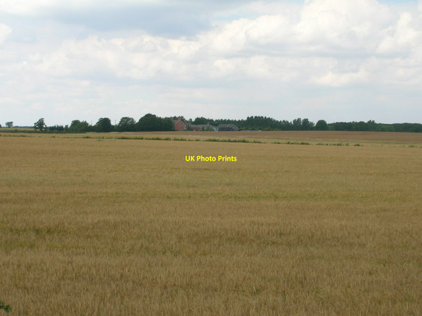 Photo 6"x4" Farmland off College Road South End\/TA1120 c2011