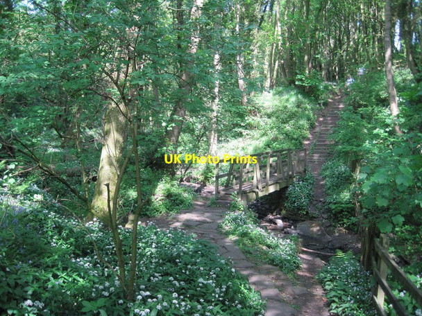 Photo 6"x4" Footbridge in Fairy Glen Dangerous Corner\/SD5210 c2011