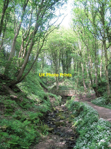 Photo 6"x4" Footbridge in Fairy Glen Dangerous Corner\/SD5210 c2011