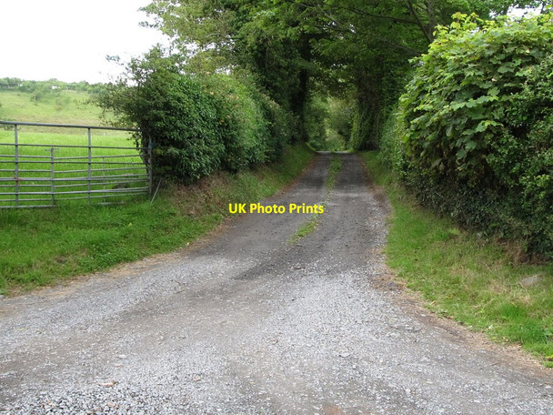 Photo 6"x4" Private farm access lane off Drumgooland Road Seaforde c2011