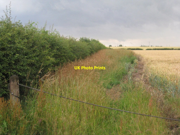 Photo 6"x4" Field boundary off College Road Barrow upon Humber c2011