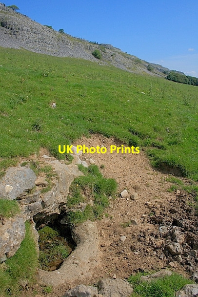 Photo 6"x4" Spring, below Twisleton Scar Ingleton\/SD6973 c2011