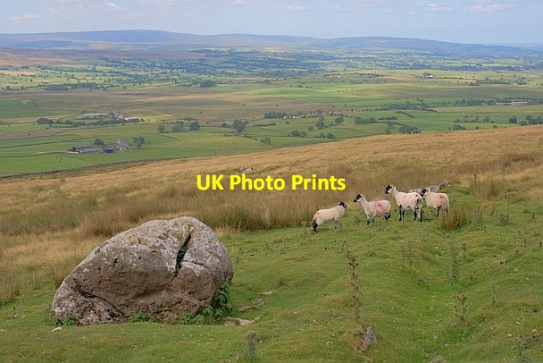 Photo 6"x4" Boulder, above Newby Cote Newby Cote c2011