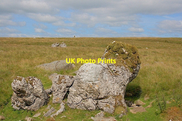 Photo 6"x4" Is this Harryhorse Stone? Newby Cote c2011