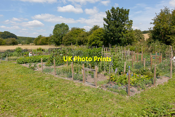 Photo 6"x4" Allotments on Workhouse Lane, East Meon East Meon c2011