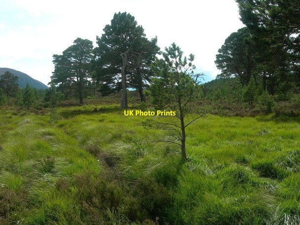 Photo 6"x4" Near Loch Gamnha Doune\/NH8809 c2009