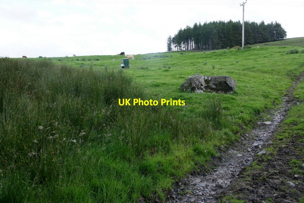 Photo 6"x4" Hillside at Craggie, near Kirkmichael Kirkmichael\/NO0860 c2011