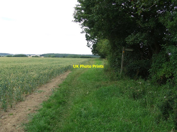 Photo 6"x4" Footpath Junction Kirtling Green c2011