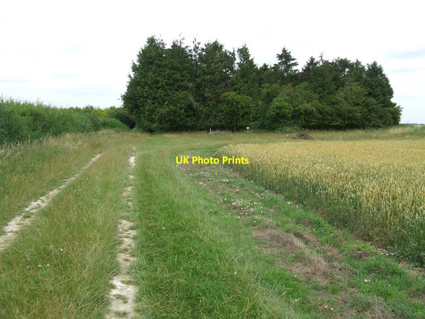 Photo 6"x4" Prince Of Wales Wood Mill End\/TL6956 c2011