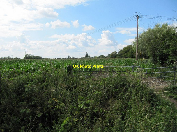Photo 6"x4" Land at Slade end Wallingford c2011