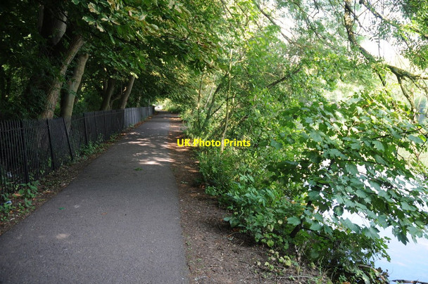 Photo 6"x4" The Thames Path near Reading Reading c2011