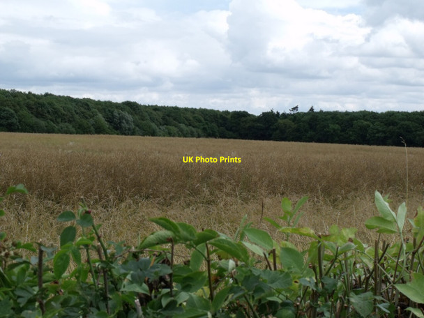 Photo 6"x4" View towards Stainfield Wood Stainfield\/TF1173 c2011