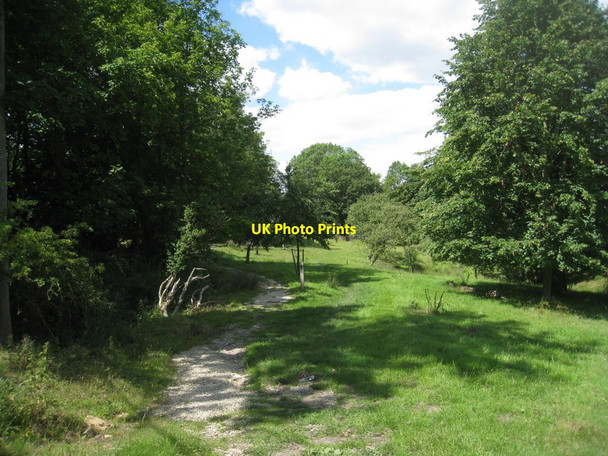 Photo 6"x4" The Cotswold Way at Stanway (2) Stanway\/SP0632 c2011