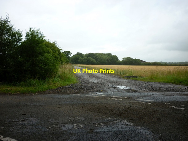 Photo 6"x4" A farm track across Osgodby Common Osgodby Common c2011