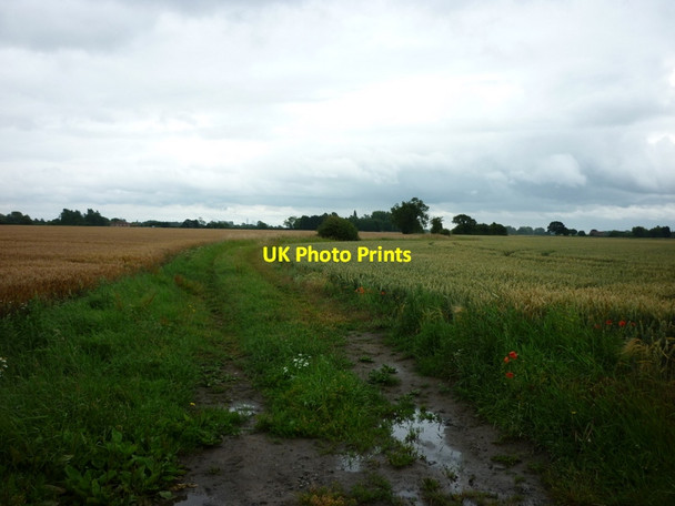 Photo 6"x4" A footpath off the B1223 near Ryther Nun Appleton c2011