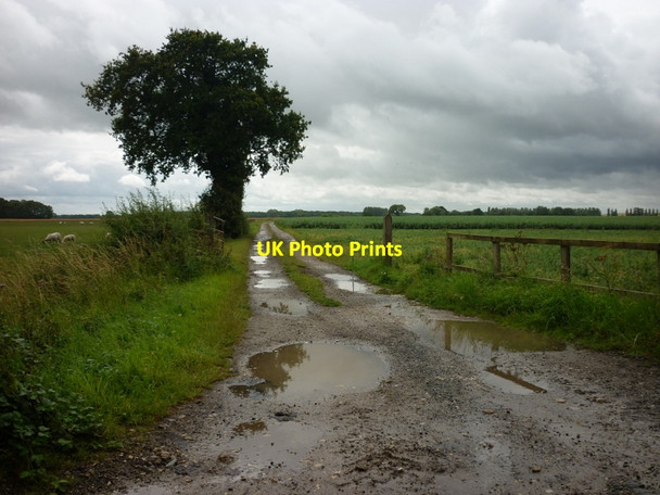 Photo 6"x4" A farm track to West Milford Farm, Kirkby Wharfe c2011
