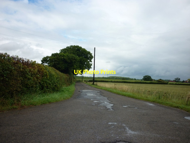 Photo 6"x4" A farm road leading to Pallathorpe Farm Tadcaster c2011