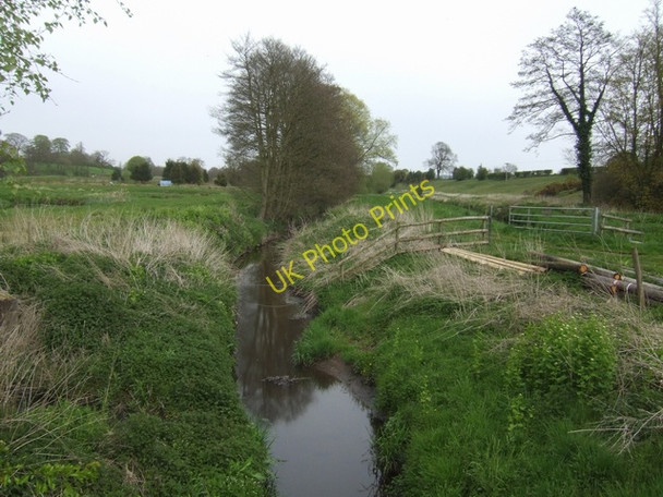 Photo 6"x4" River Tern upstream of the fish farm Market Drayton c2008
