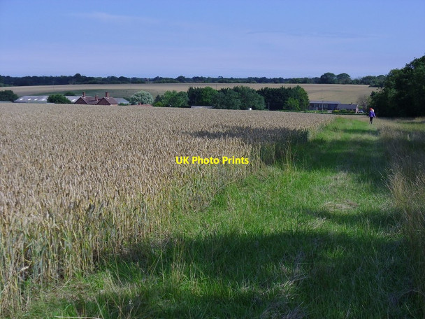 Photo 6"x4" Diverted footpath in Weston Weston\/TM4287 c2011