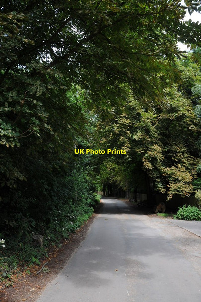 Photo 6"x4" Thames Path near Bolney Court Henley-on-Thames c2011