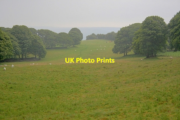 Photo 6"x4" Reclaimed Fields Sheldon\/SK1768 c2011