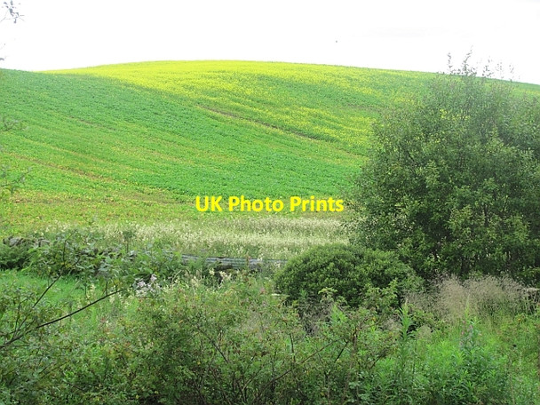 Photo 6"x4" Arable land, Waterloo Waterloo\/NO0536 c2011