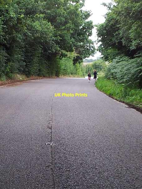 Photo 6"x4" The Forgotten Road North Cove c2011