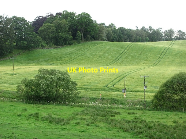 Photo 6"x4" Corral Burn and arable land Waterloo\/NO0536 c2011